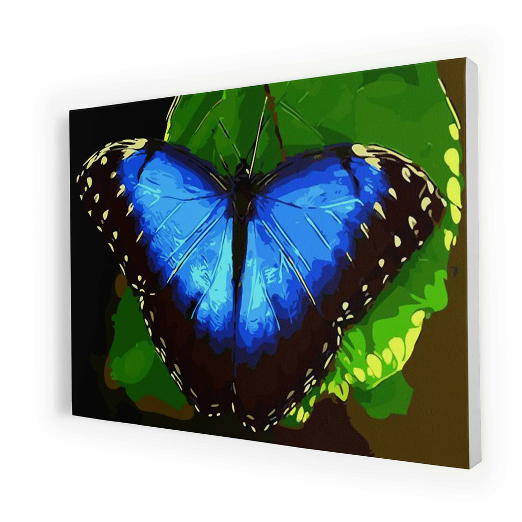 Blauwe Vlinder - Schilderen op Nummer