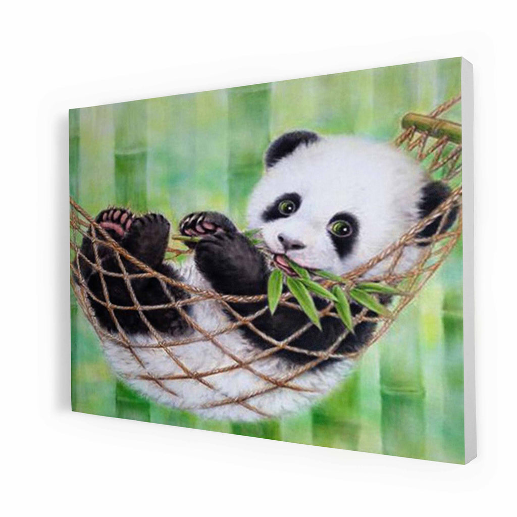 Hangende Panda - Schilderen op Nummer